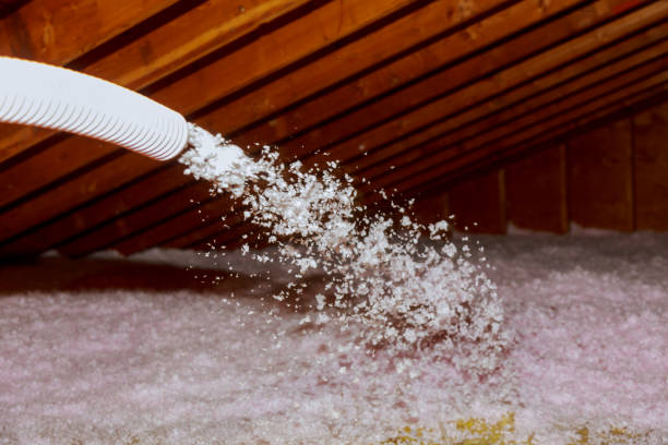 Best Fiberglass Insulation  in University Park, TX