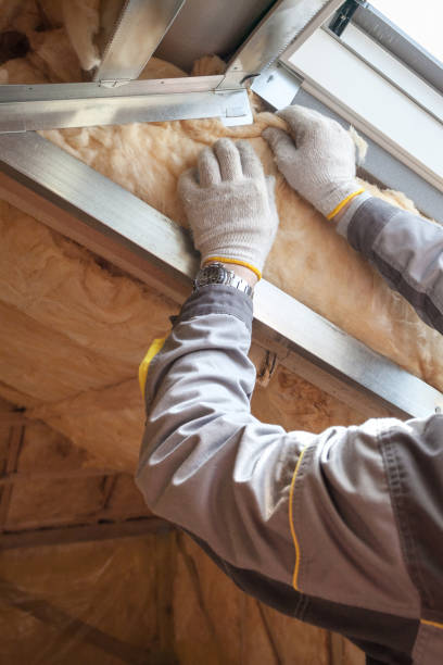 Best Crawl Space Insulation  in University Park, TX