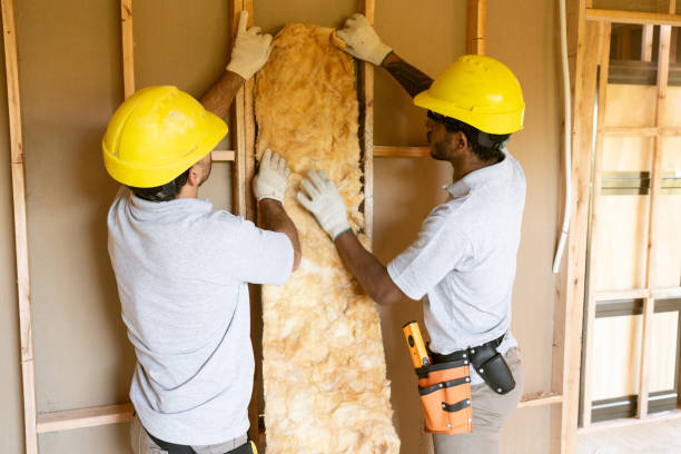 Best Insulation Replacement Services  in University Park, TX