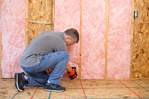 Best Insulation Installation Cost  in University Park, TX