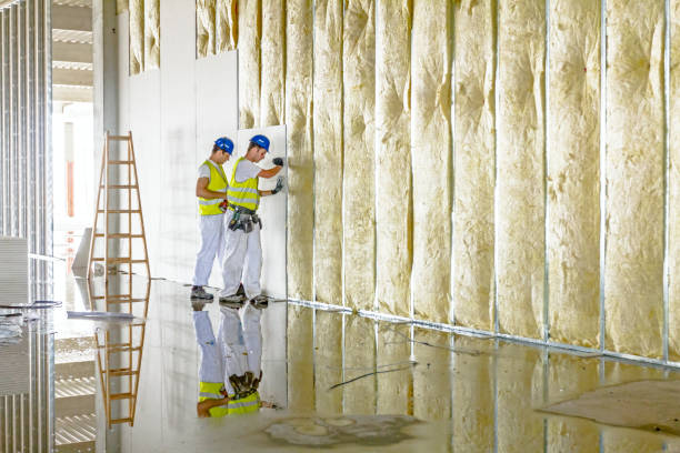 Best Home Insulation Services  in University Park, TX